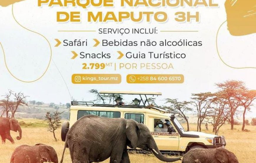 Safari – Park Nacional
